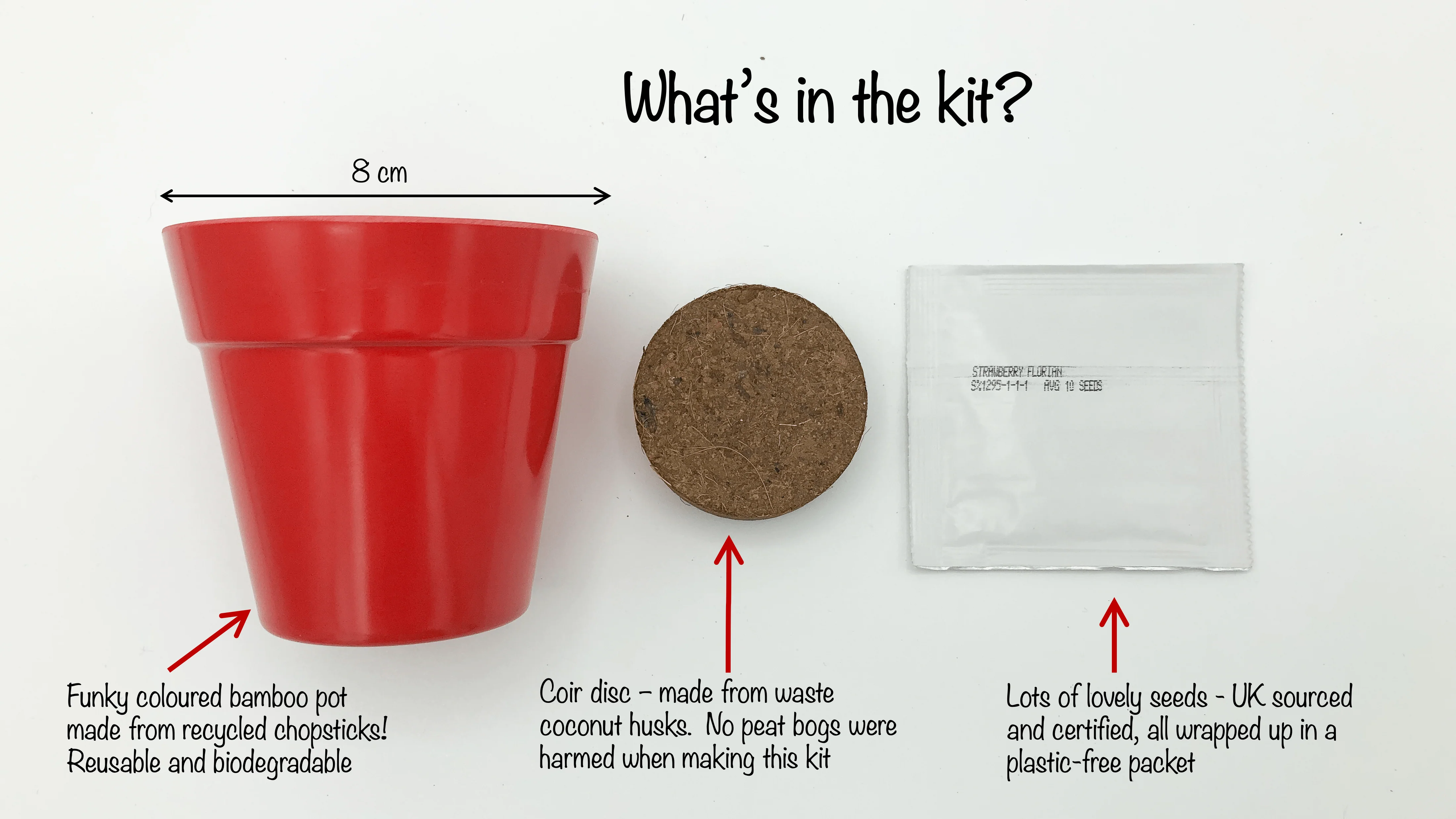 Wild Alpine Strawberry Wildflower Growing Kit with Pot - Image 5